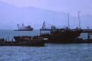Fishing Boats, Kowloon, Hong Kong
